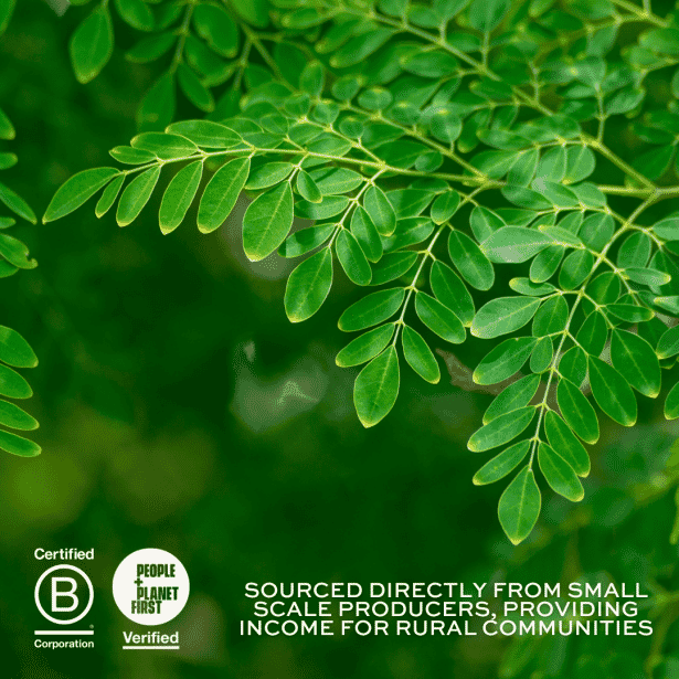 Organic Moringa Capsules 180s