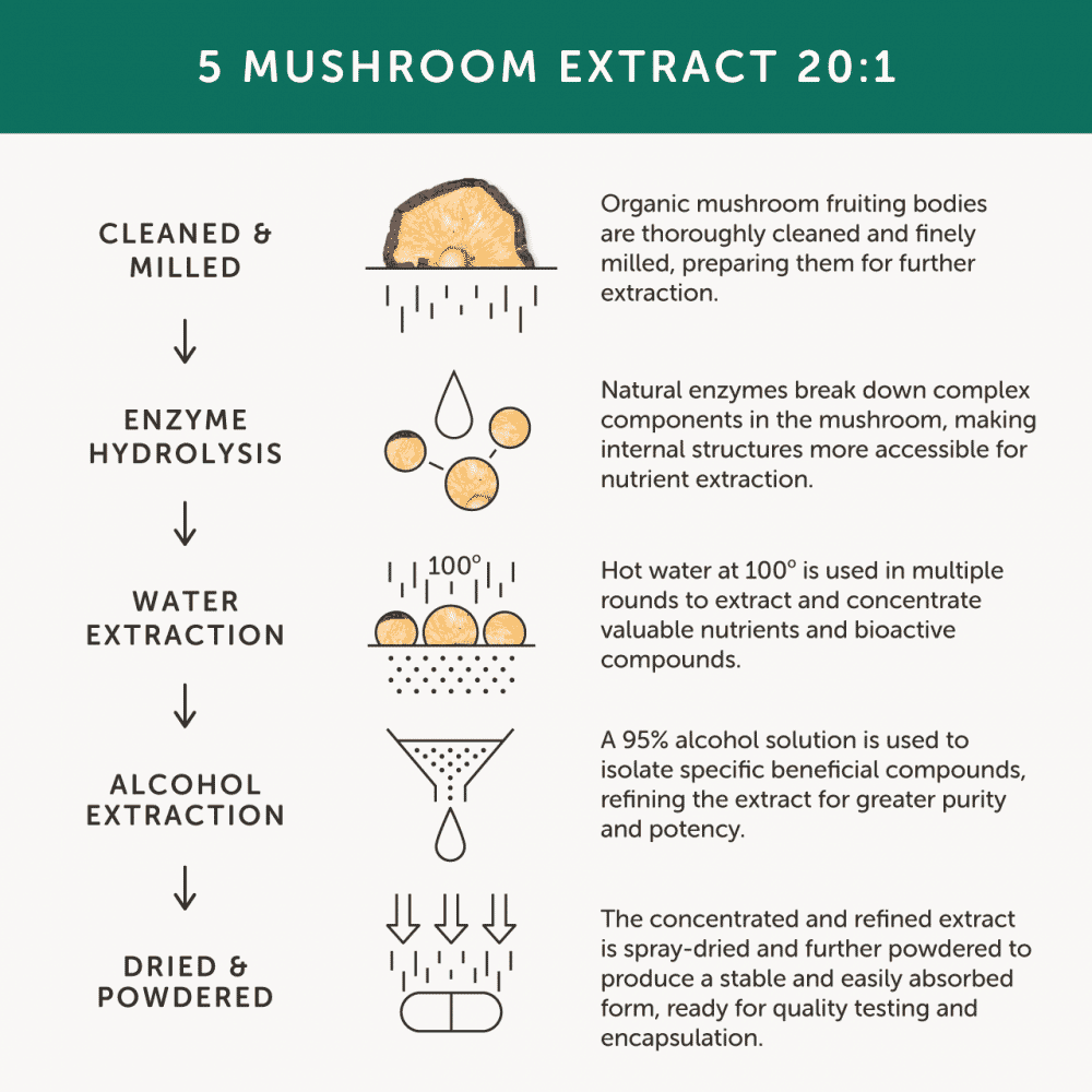 Organic Mushroom 5 60s