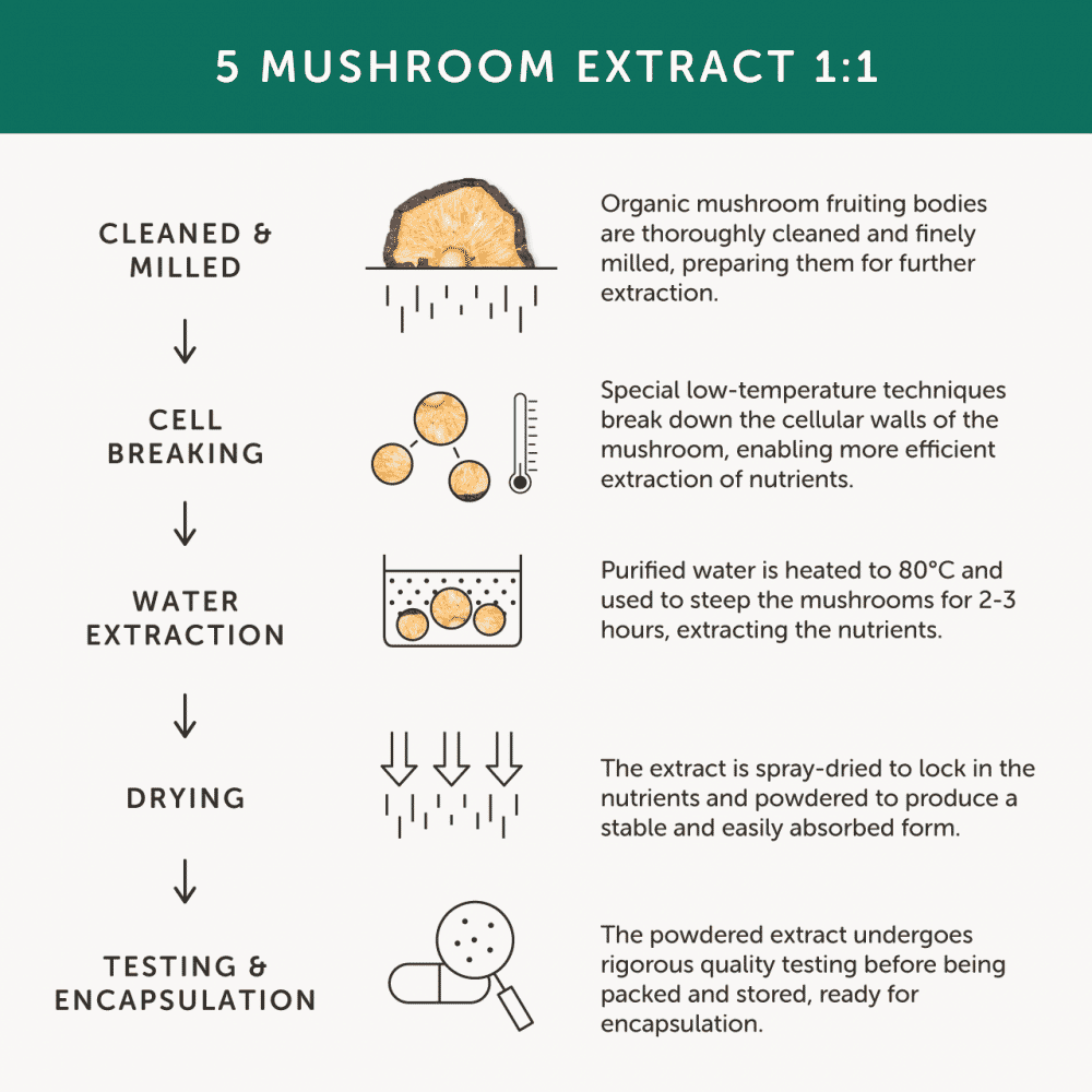 Organic Mushroom 5 60s