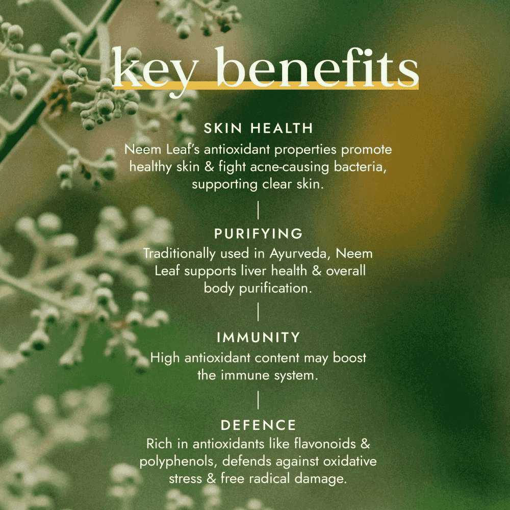 Organic Neem Leaf 60s