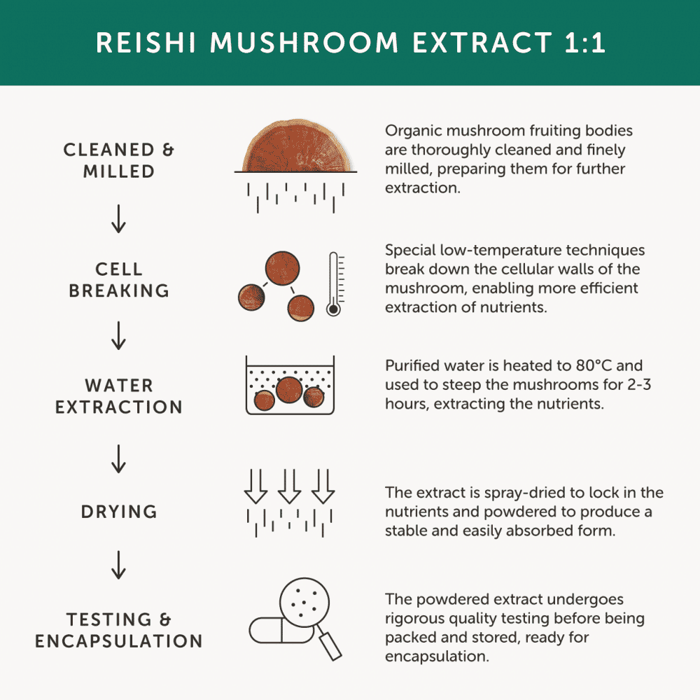 Organic Reishi 60s