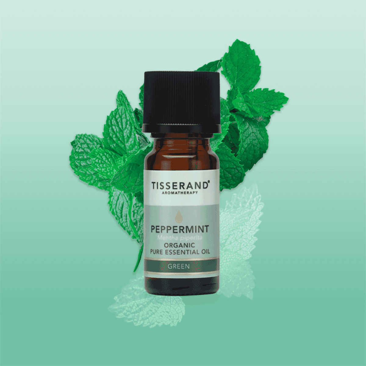 Peppermint Organic Pure Essential Oil 9ml