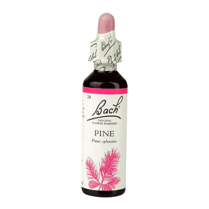 Pine 20ml