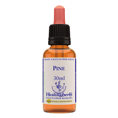 Pine 30ml
