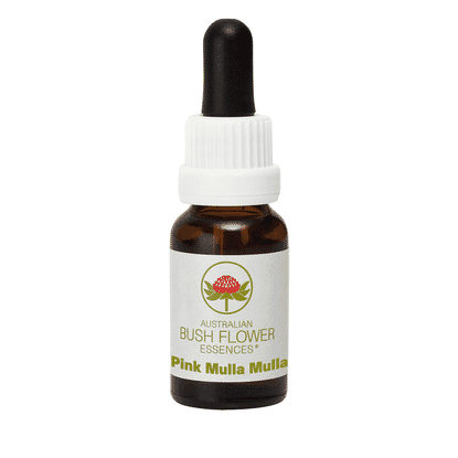 Pink Mulla Mulla (Stock Bottle) 15ml