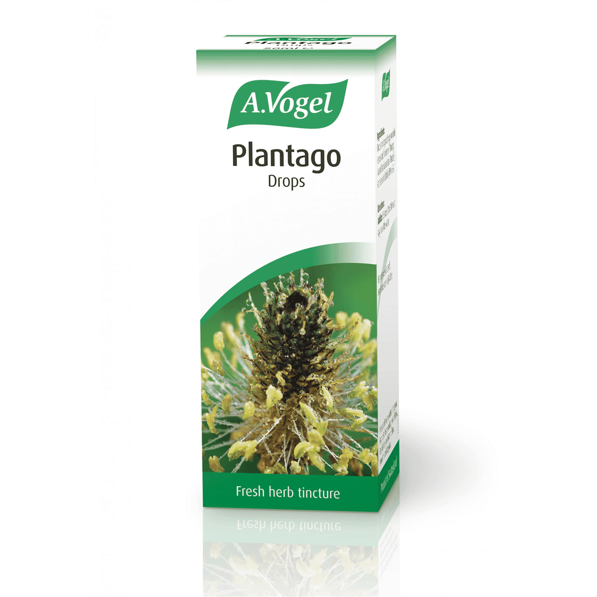Plantago Drops 50ml