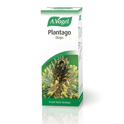 Plantago Drops 50ml