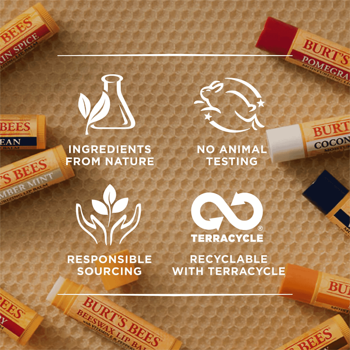 Pomegranate Lip Balm 4.25g