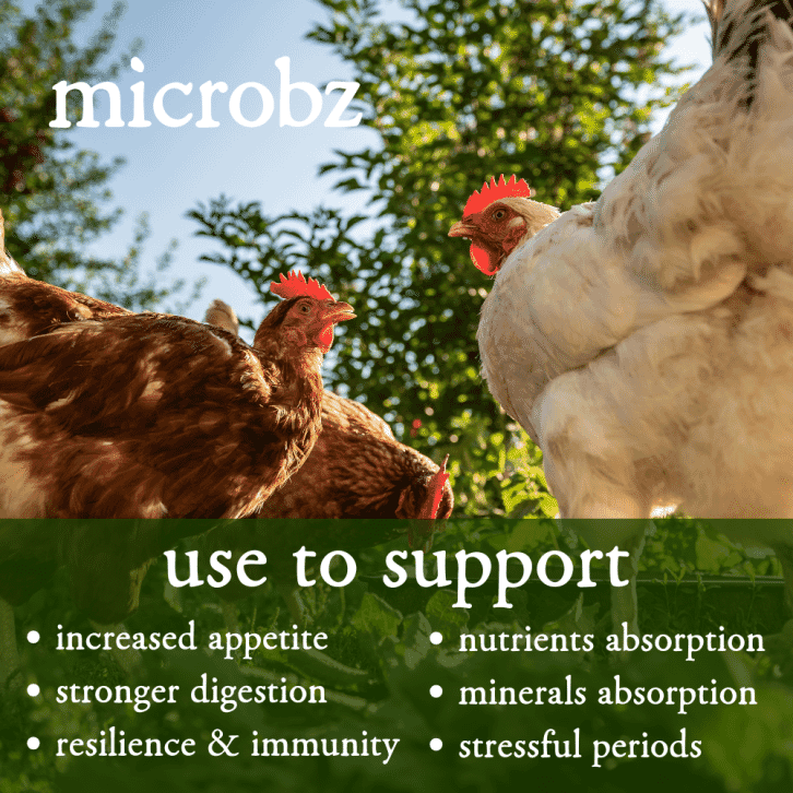 Poultry Nutrition 1 Litre