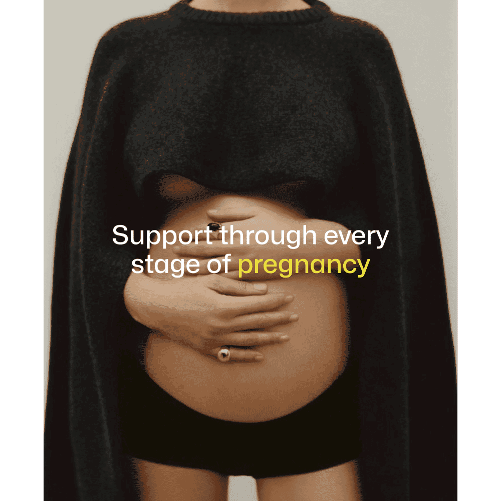 Pregnancy Formula (Capsules) 120s