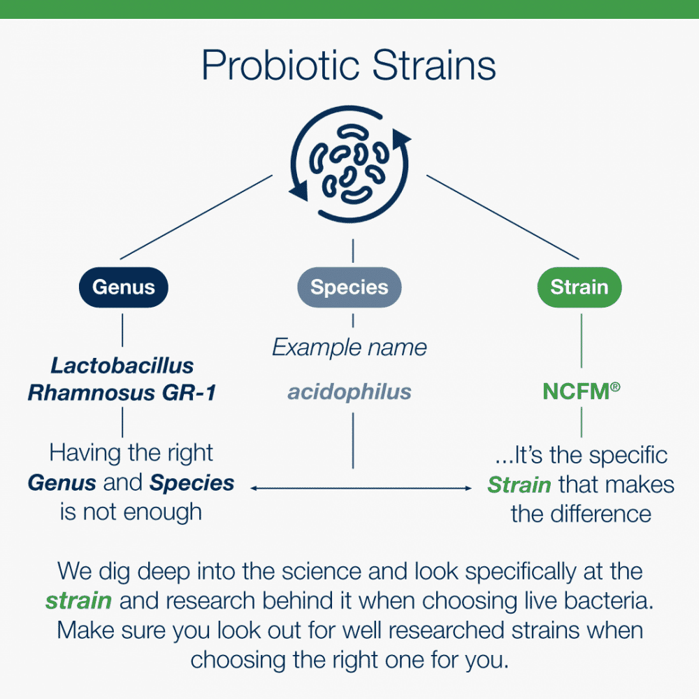 Probiotic Plus 60s (Formerly Nutri Adv. NUT-3401)