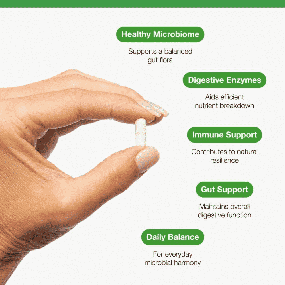 Probiotic Plus 60s