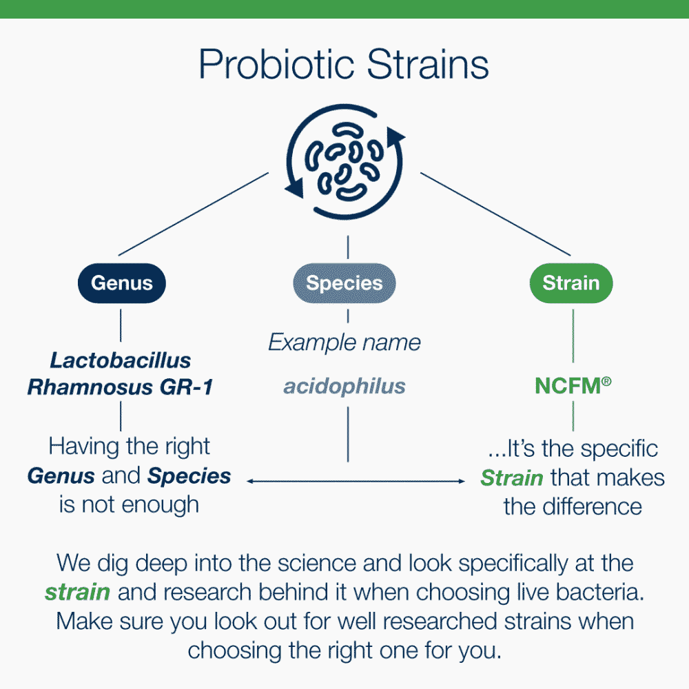 Probiotic Plus 60s
