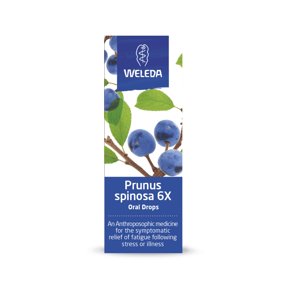 Prunus Spinosa 6X Oral Drops 25ml