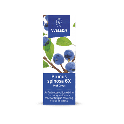 Prunus Spinosa 6X Oral Drops 25ml