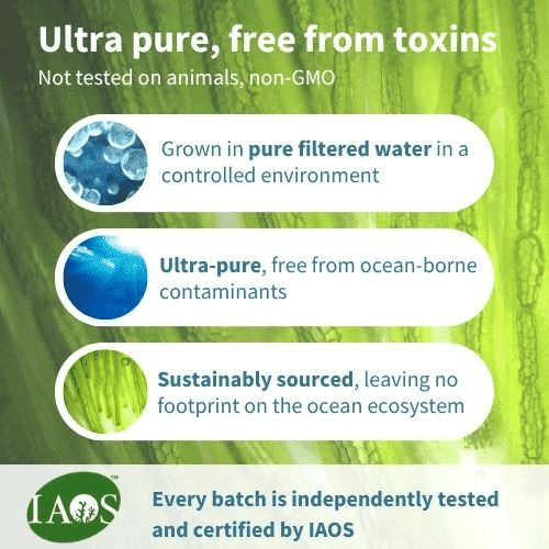 Pure & Essential Concentrated Vegan Omega-3 & Astaxanthin 180s