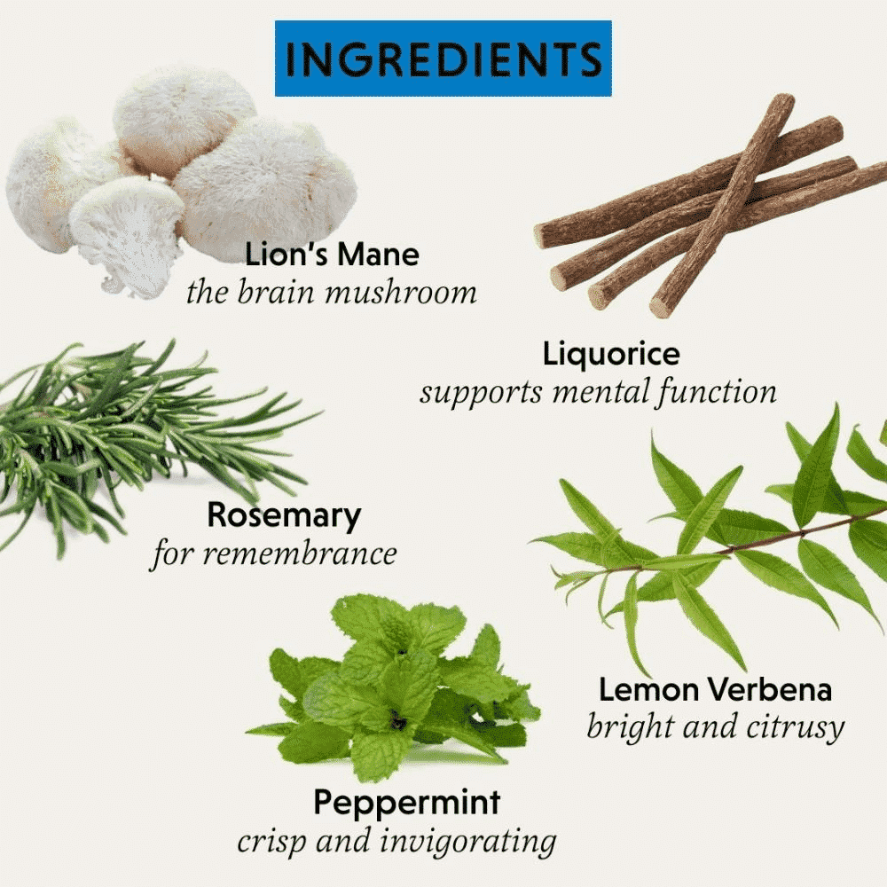 Pure Focus Organic Herbal Tea 18s