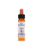 Red Chestnut 10ml