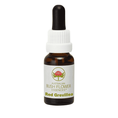 Red Grevillea (Stock Bottle) 15ml