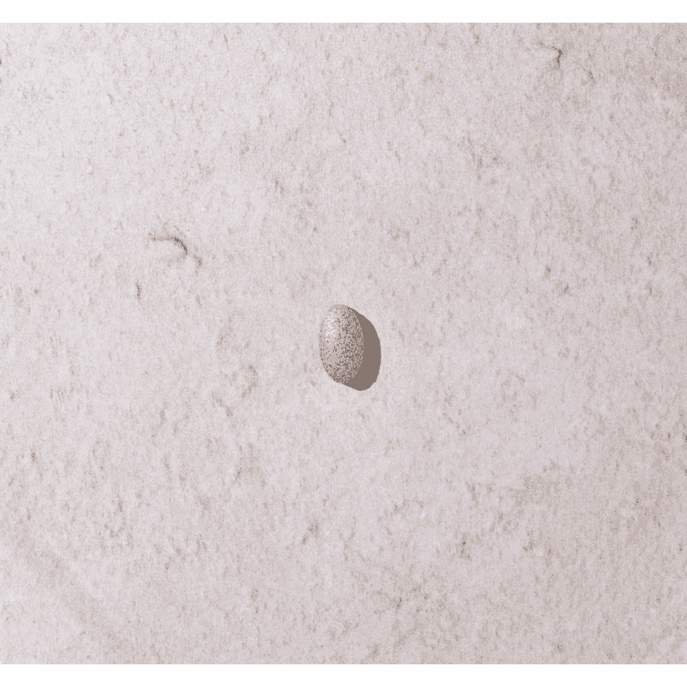 Red Sterol Complex 90s