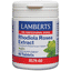 Rhodiola Rosea Extract 60s