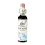 Rock Water 20ml