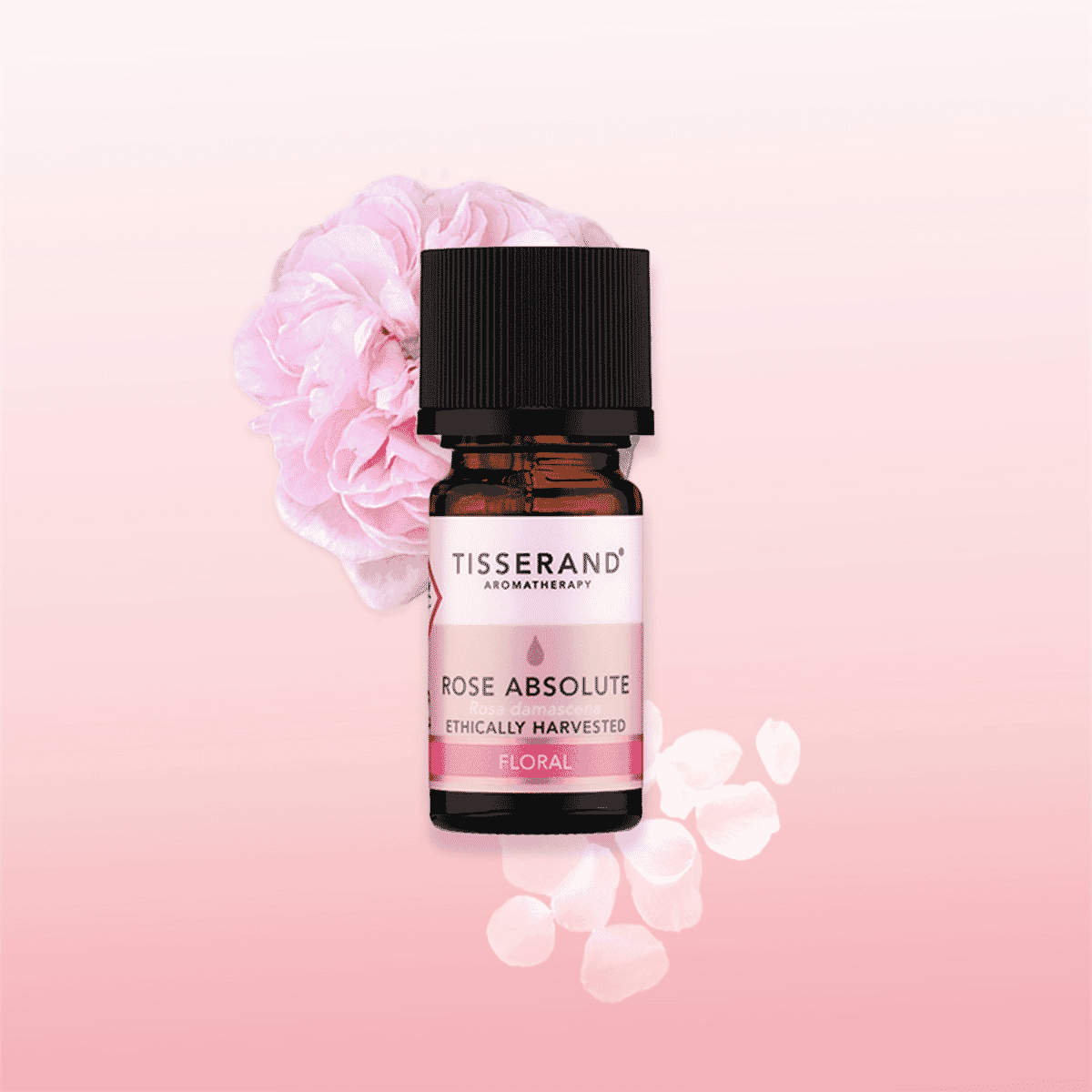 Rose Absolute Ethically Harvested Essential Oil 2ml