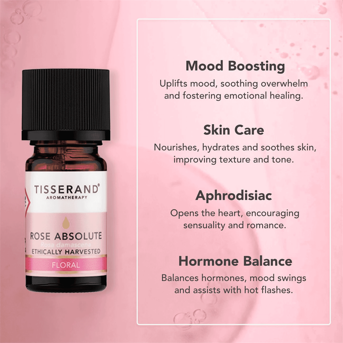 Rose Absolute Ethically Harvested Essential Oil 2ml