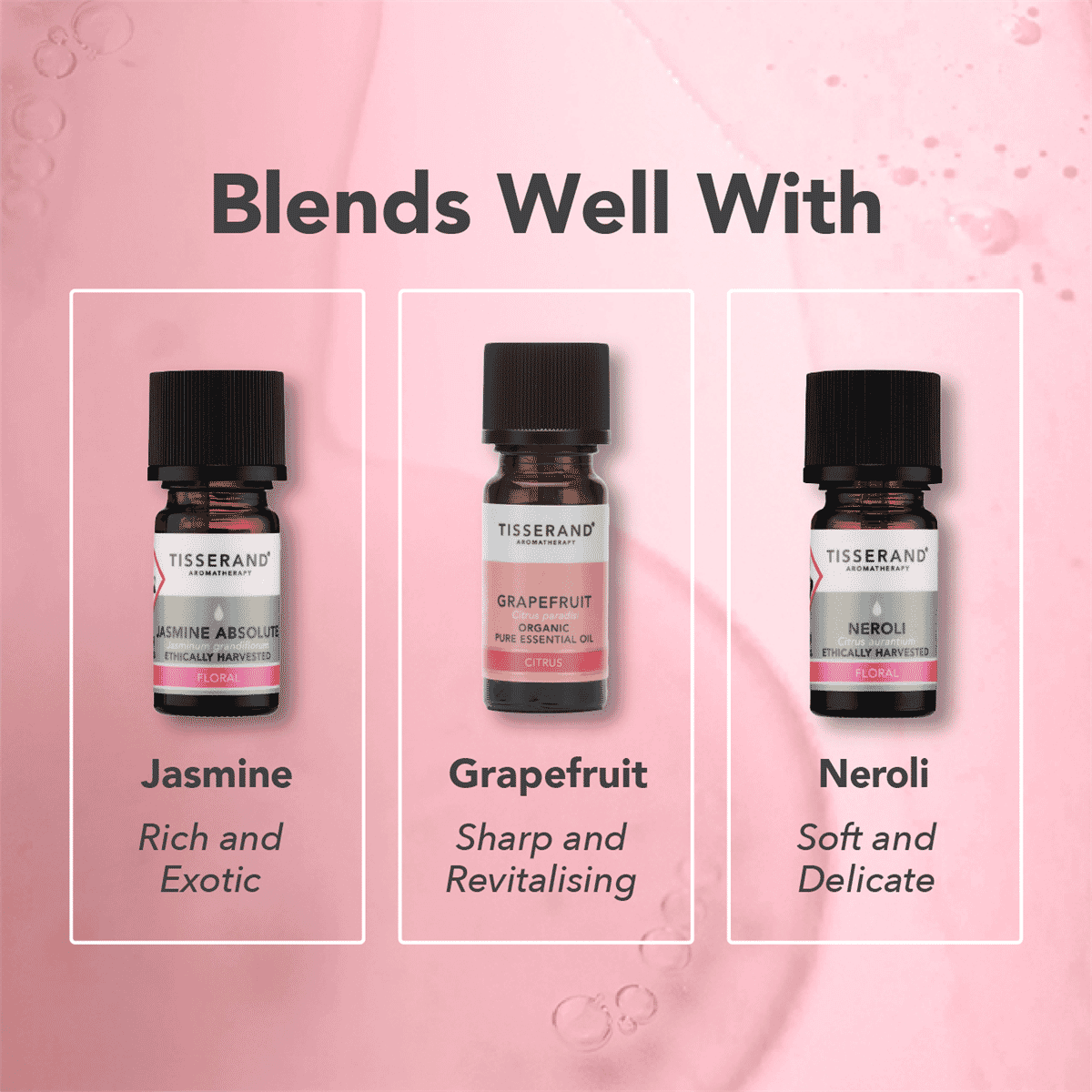 Rose Absolute Ethically Harvested Essential Oil 2ml