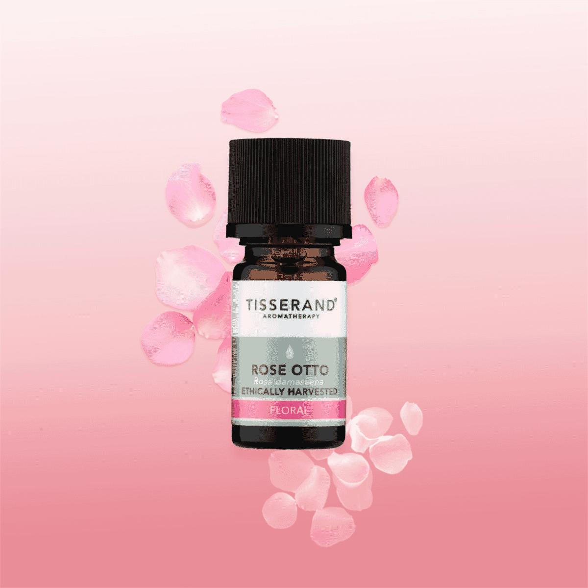 Rose Otto Ethically Harvested Pure Essential Oil 2ml