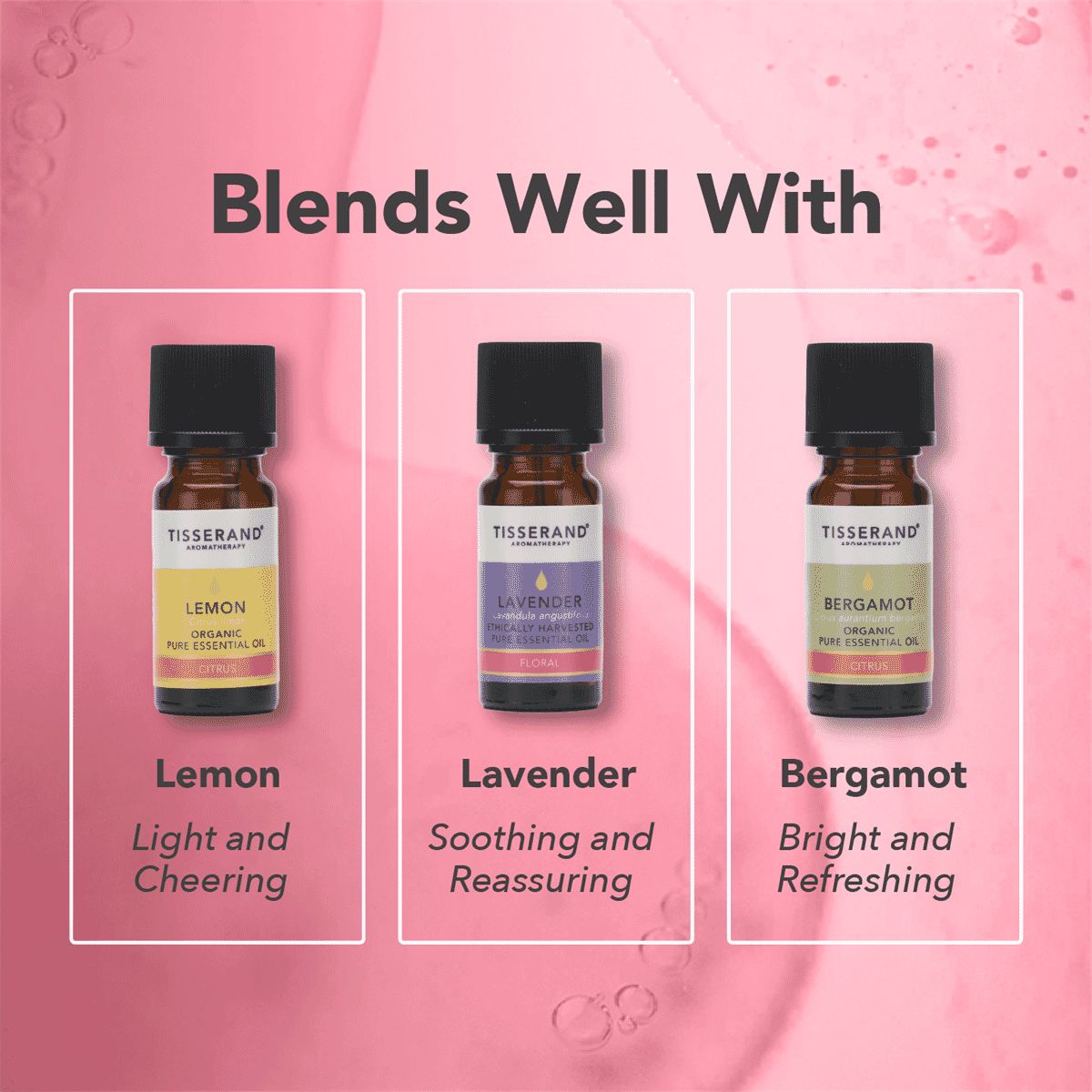 Rose Otto Ethically Harvested Pure Essential Oil 2ml
