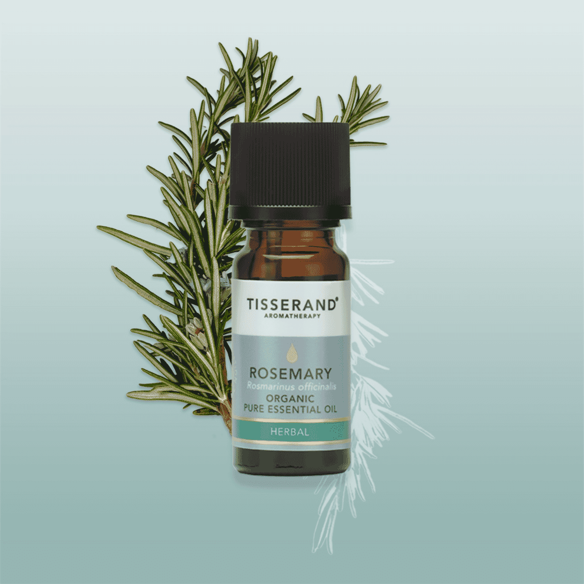 Rosemary Organic Pure Essential Oil 9ml