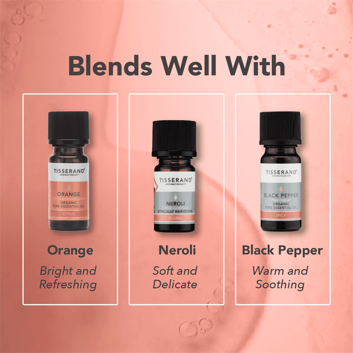 Sandalwood Ethically Harvested Pure Essential Oil 2ml
