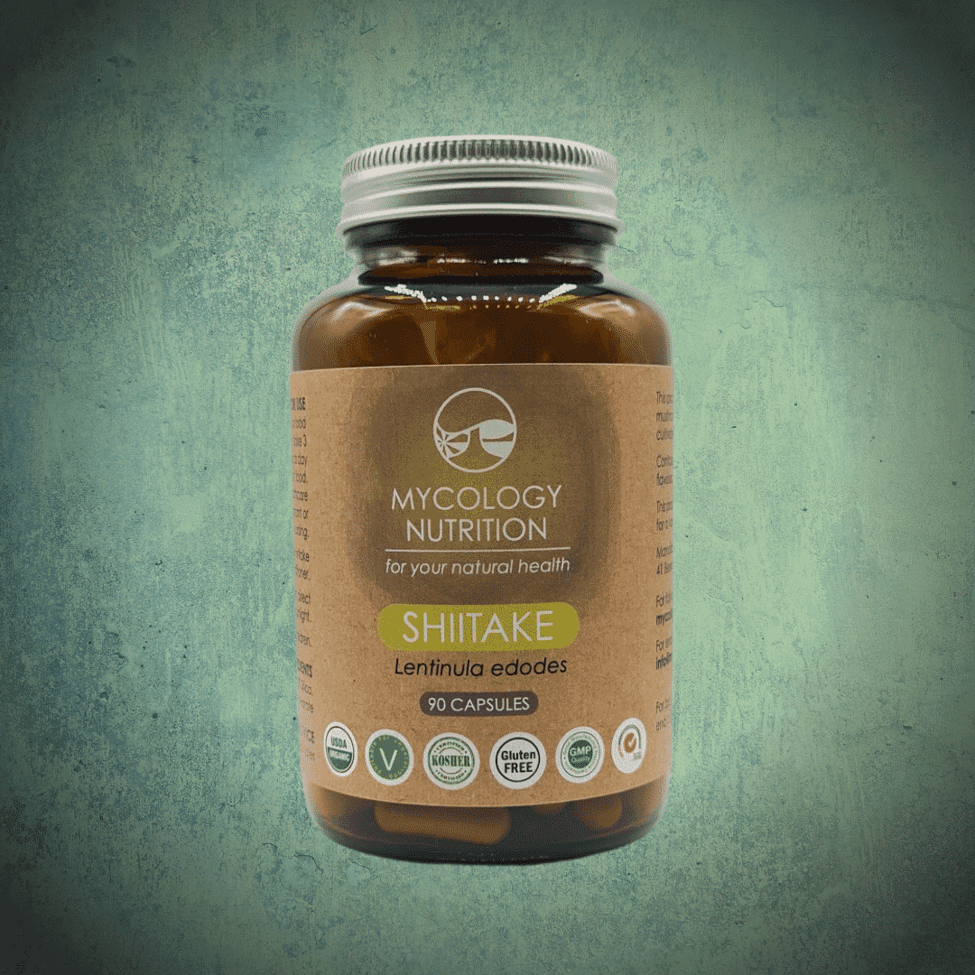 Shiitake (Lentinula edodes) 90s
