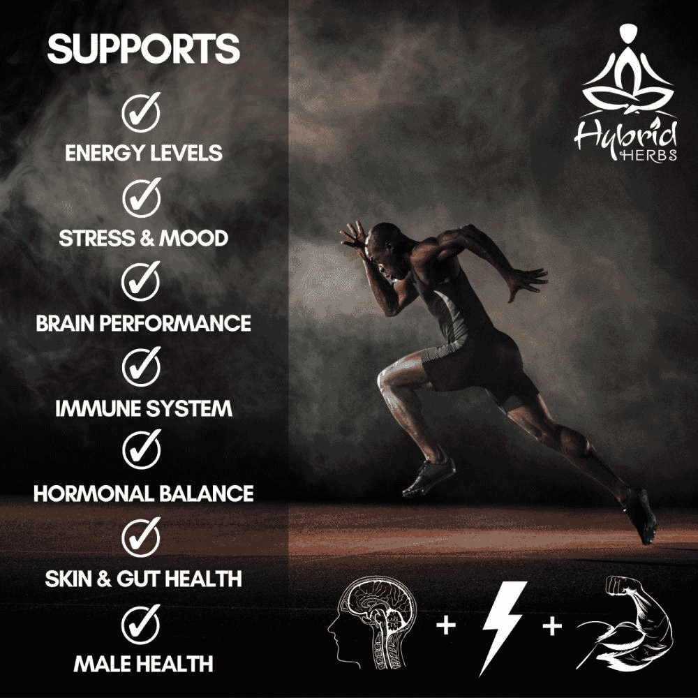 Shilajit Mineral Pitch 56g