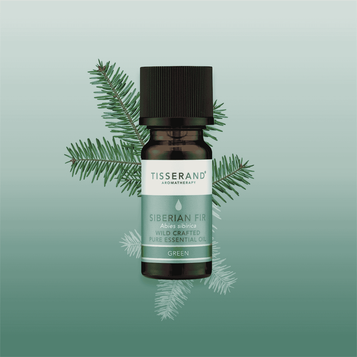 Siberian Fir Wild Crafted Pure Essential Oil 9ml