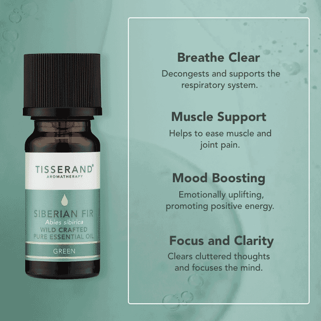 Siberian Fir Wild Crafted Pure Essential Oil 9ml