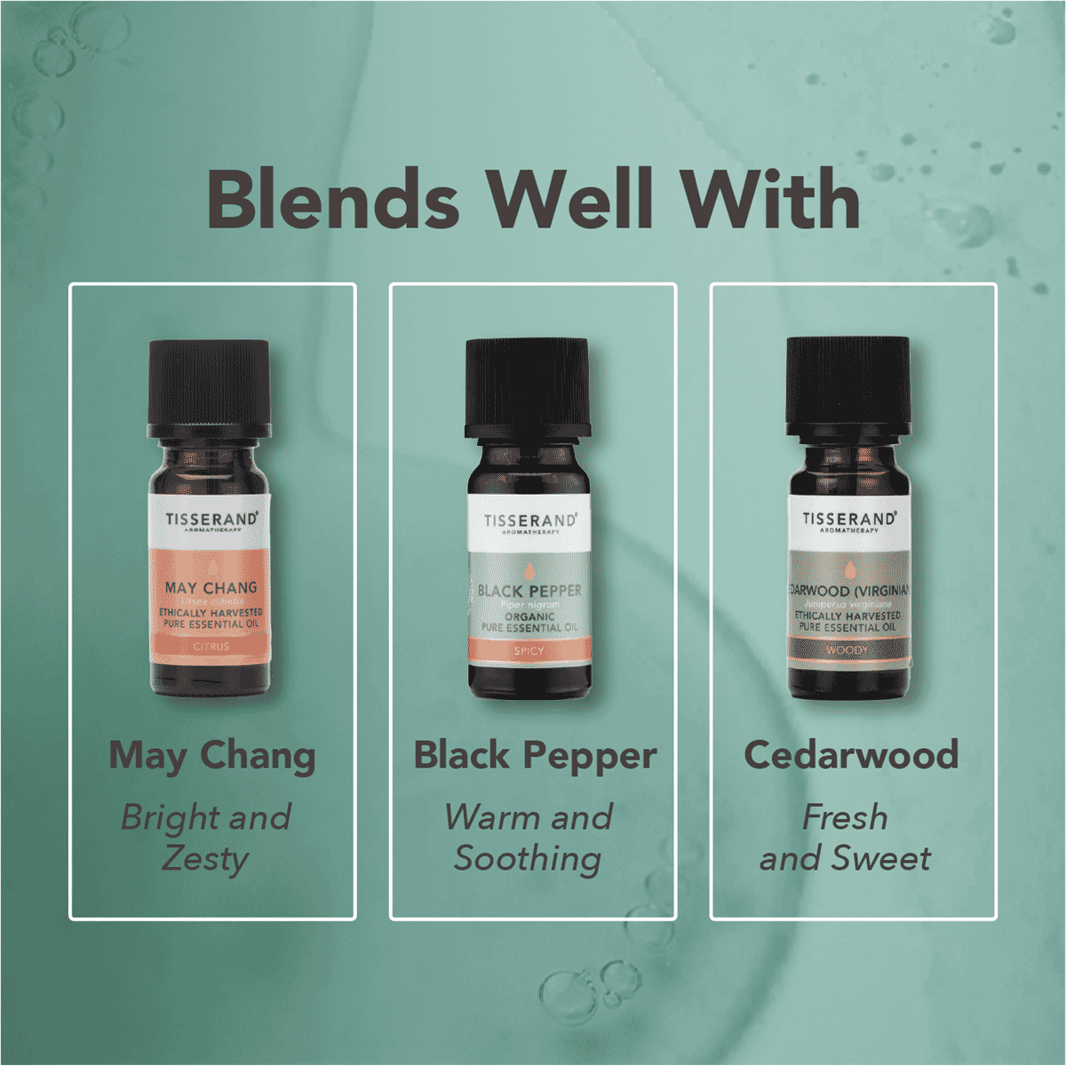 Siberian Fir Wild Crafted Pure Essential Oil 9ml