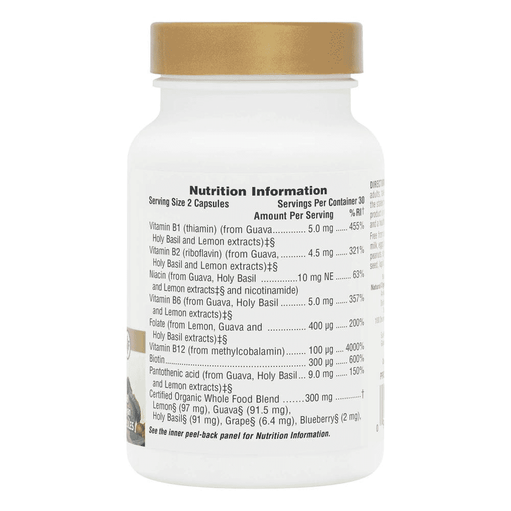 Source of Life Garden B-Complex 60s