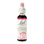 Star Of Bethlehem 20ml