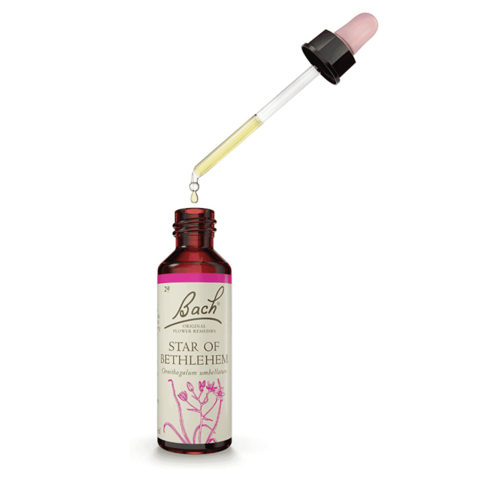 Star Of Bethlehem 20ml