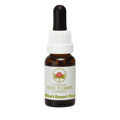 Sturt Desert Pea (Stock Bottle) 15ml