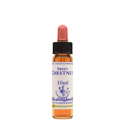 Sweet Chestnut 10ml