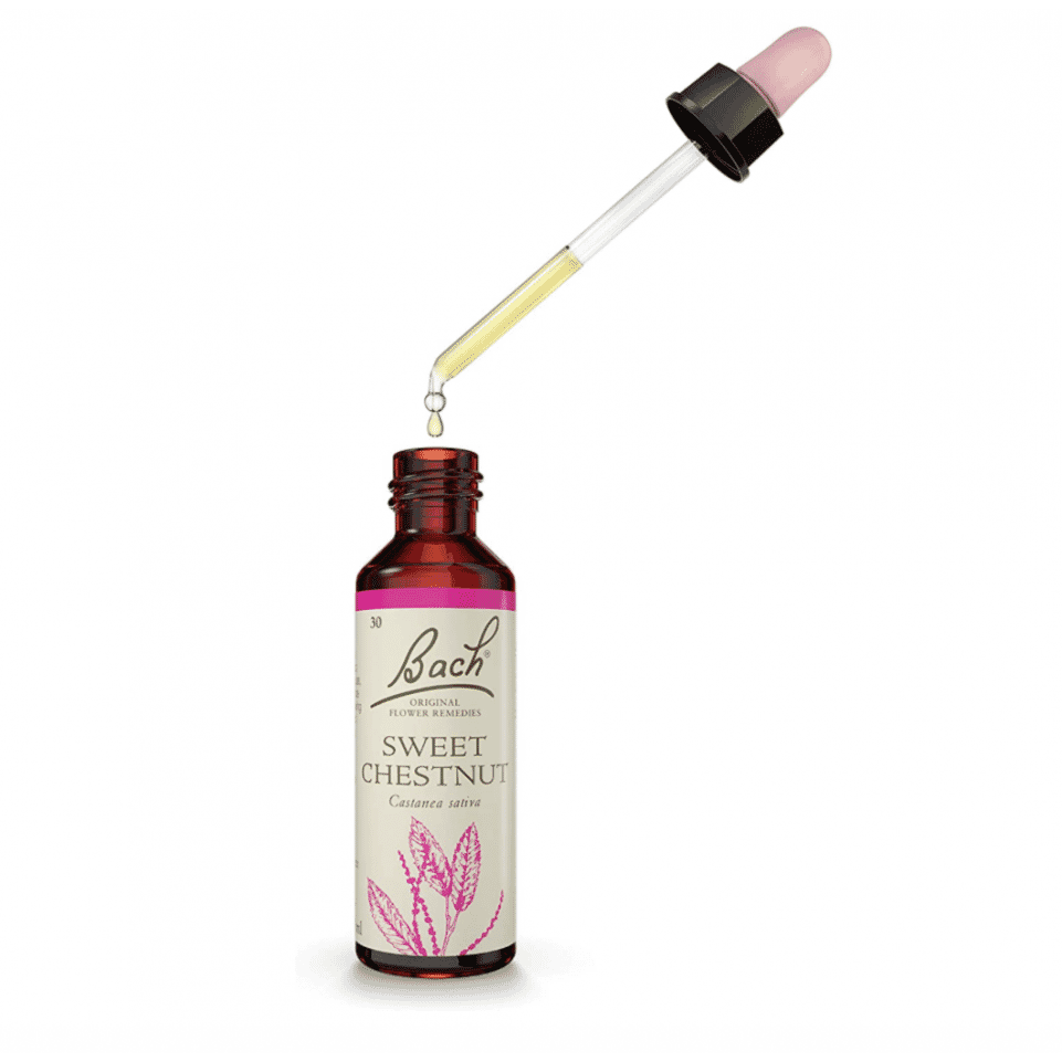 Sweet Chestnut 20ml