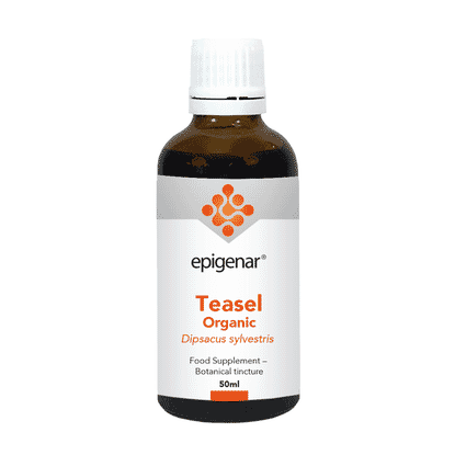 Teasel Organic 50ml