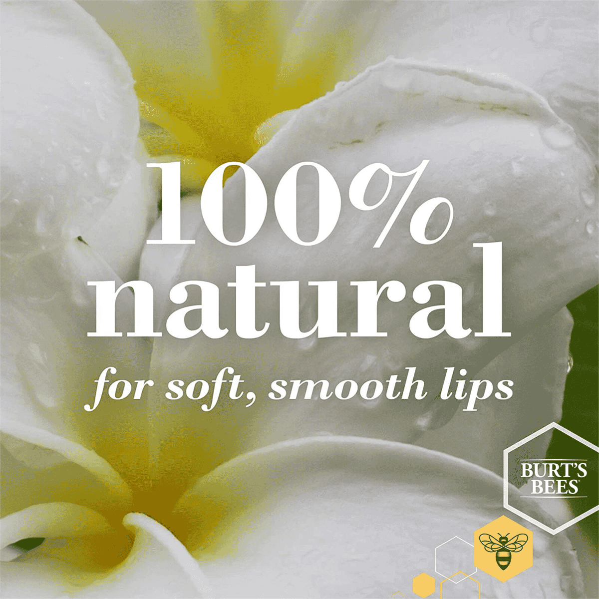 Vanilla Bean Lip Balm 4.25g