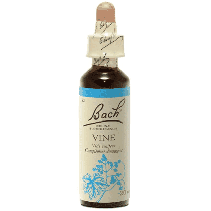 Vine 20ml