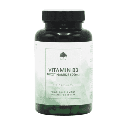 Vitamin B3 Nicotinamide 500mg 120s