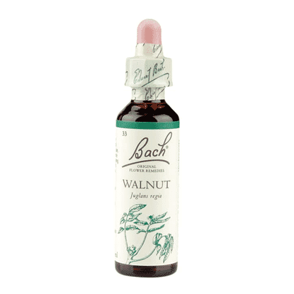 Walnut 20ml