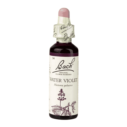 Water Violet 20ml